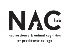 cef062_7cb49e372c744e33bfa999742c4cd155_mv2 (1)